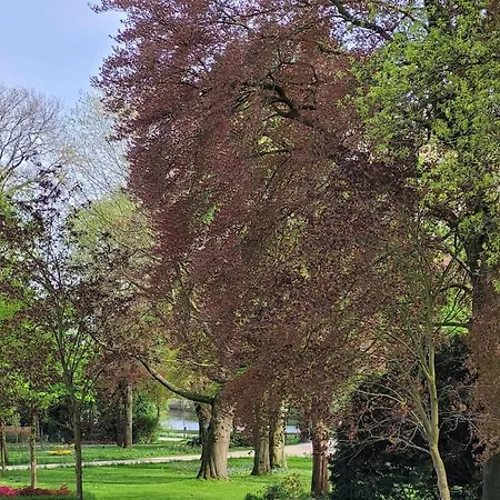 Mit Blick In Den Emsseepark Warendorf Exterior foto