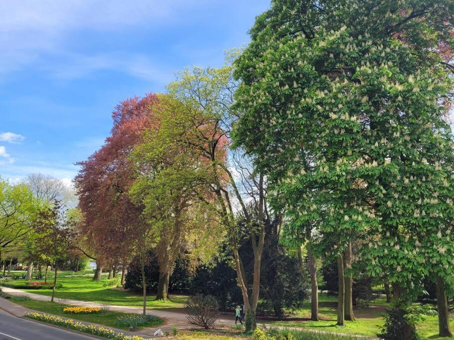 Mit Blick In Den Emsseepark * Warendorf