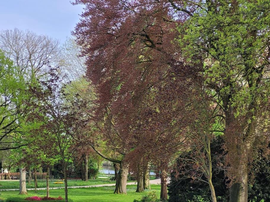Mit Blick In Den Emsseepark * Warendorf